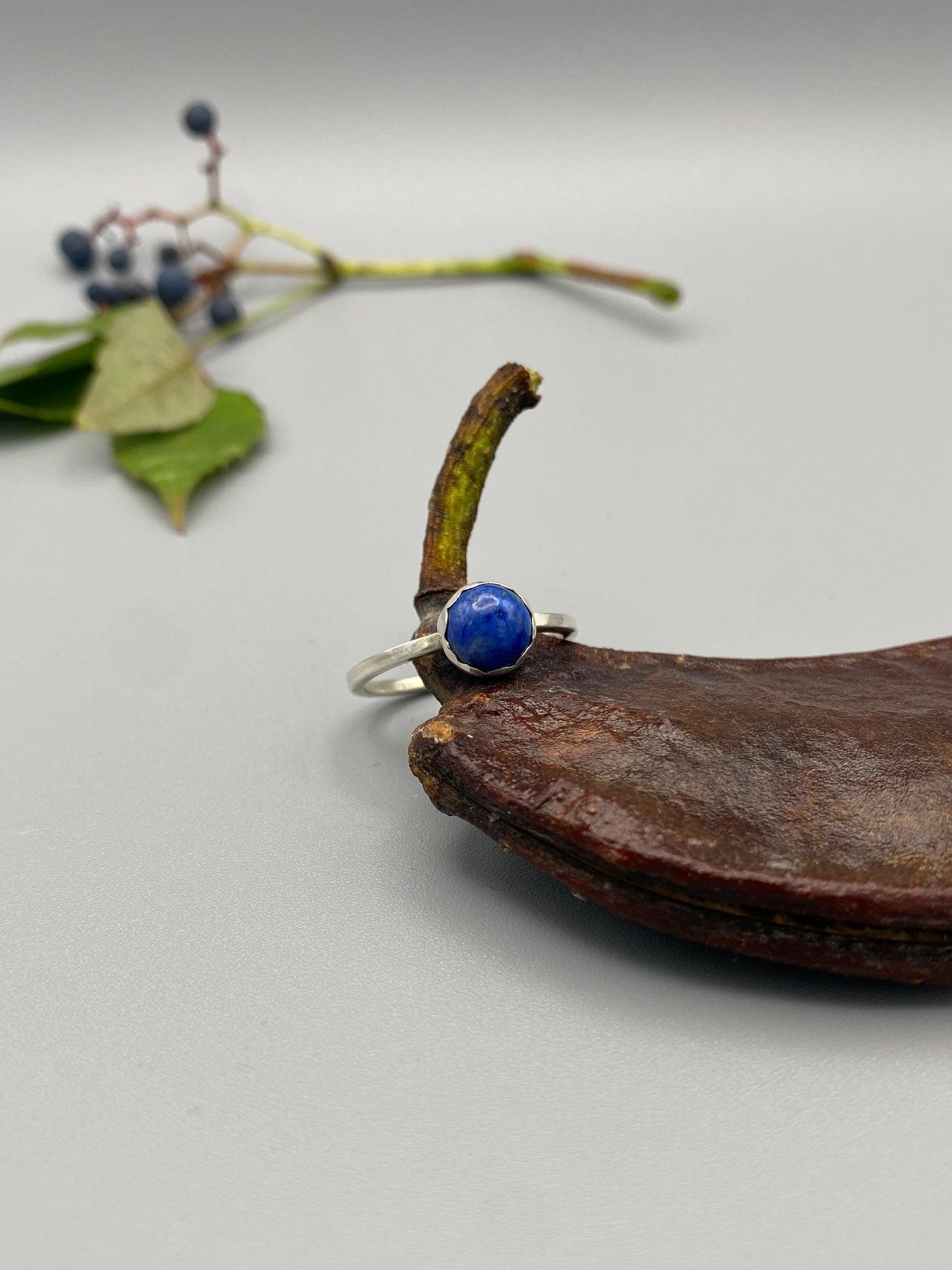 a blue bug