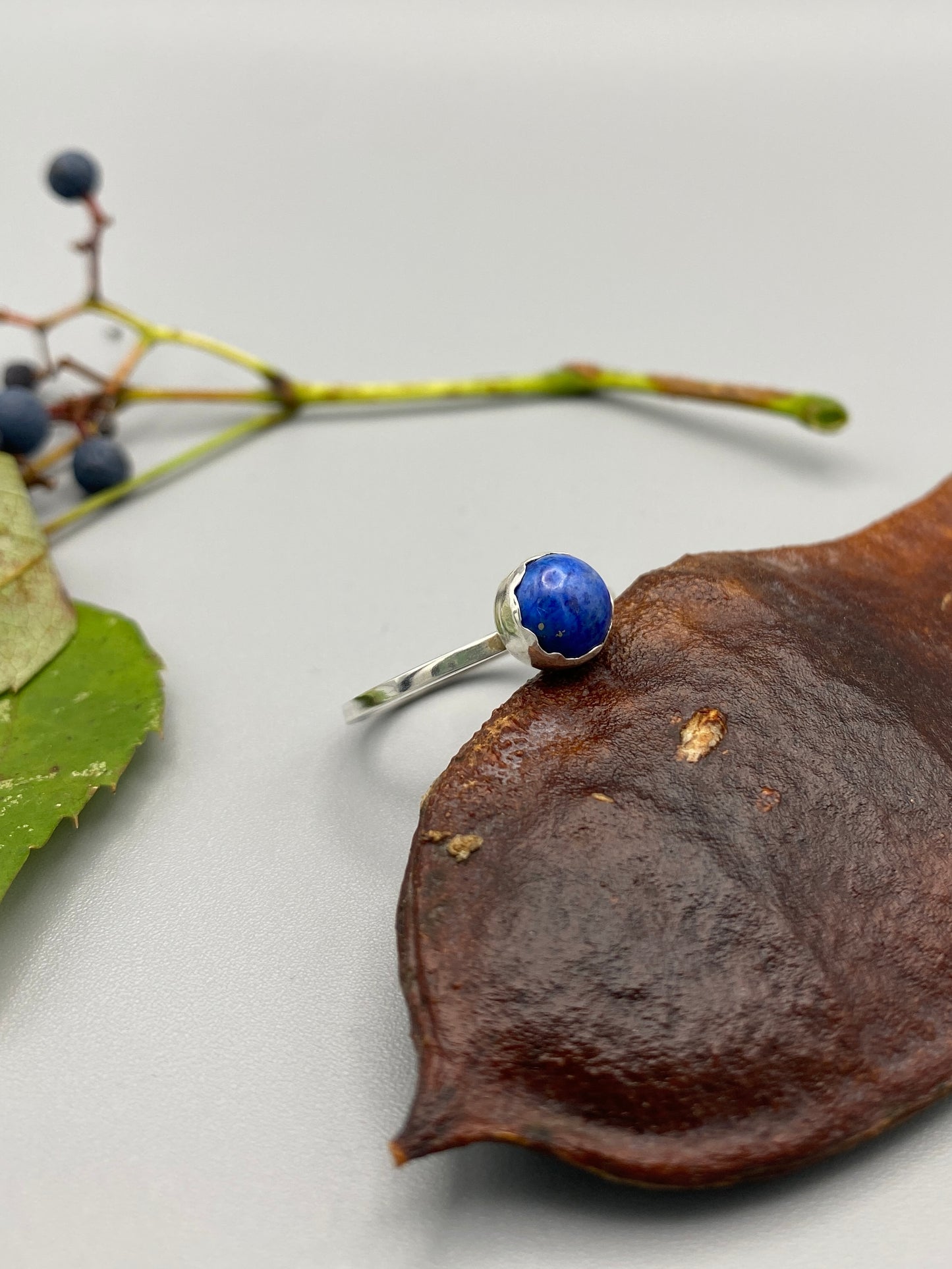 a blue bug