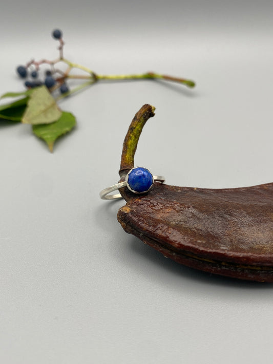 a blue bug
