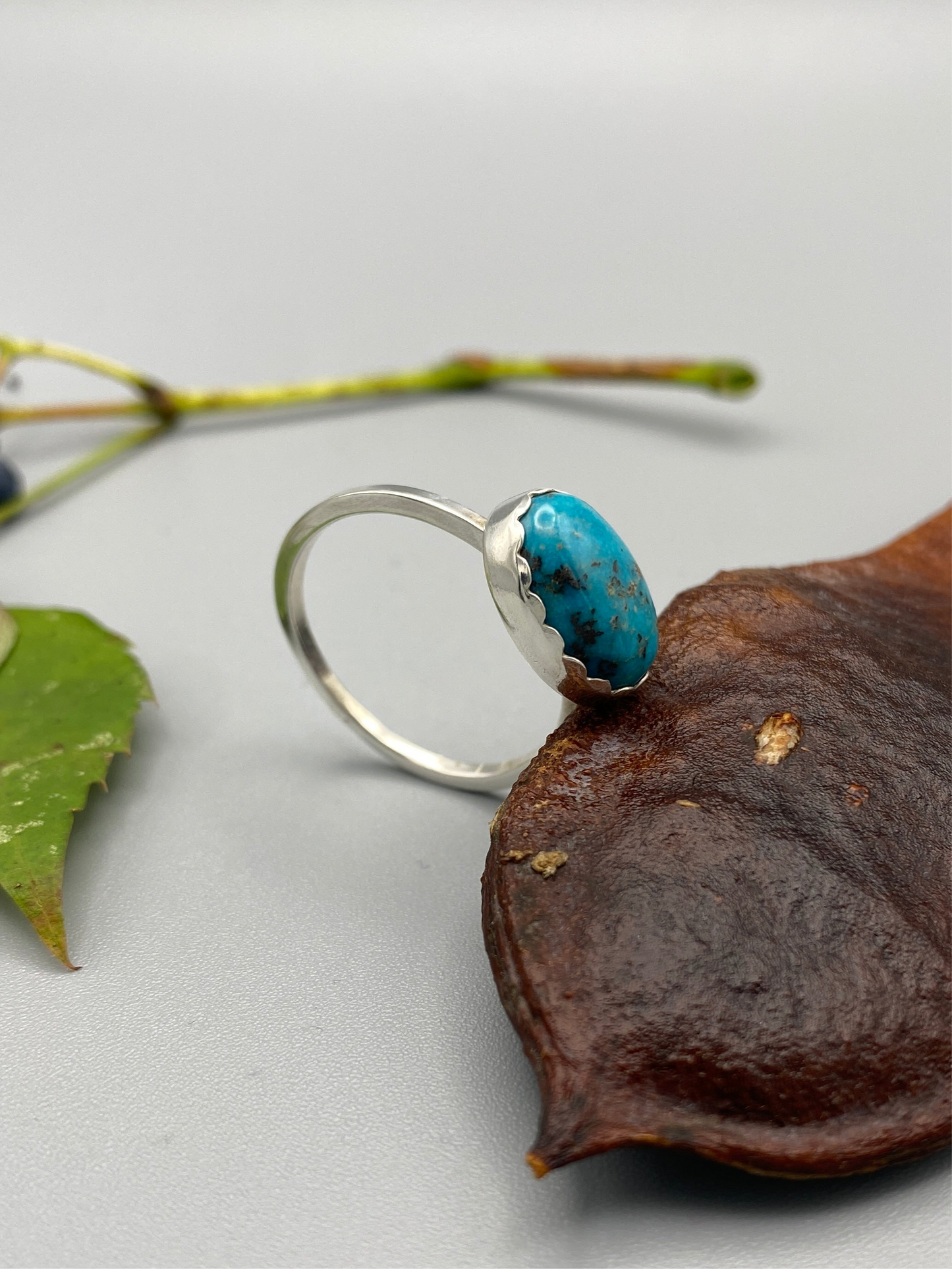 turquoise scallops