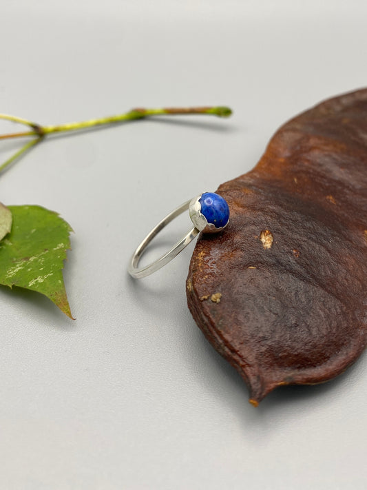 a blue bug