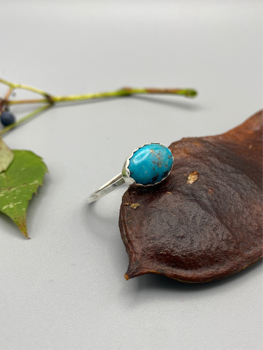 turquoise scallops